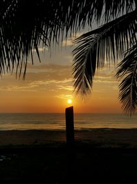 Silhouette palm tree by sea against sky during sunset