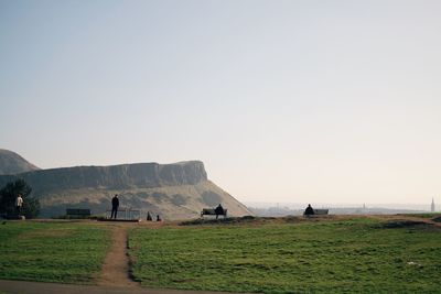 Scenic view of field against clear sky