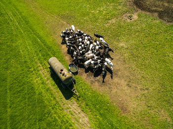 High angle view of people on field