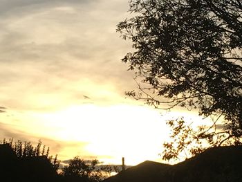 Low angle view of silhouette tree against sky during sunset