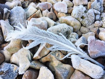 Full frame shot of pebble beach