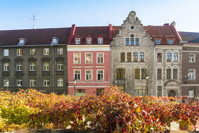 Harju street park near st. nicholas' church and museum