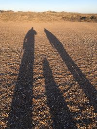 Shadow of man and woman standing in park