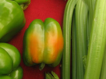 Close-up of green chili peppers