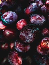 Full frame shot of blueberries