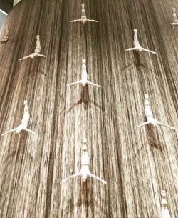 Low angle view of bird flying