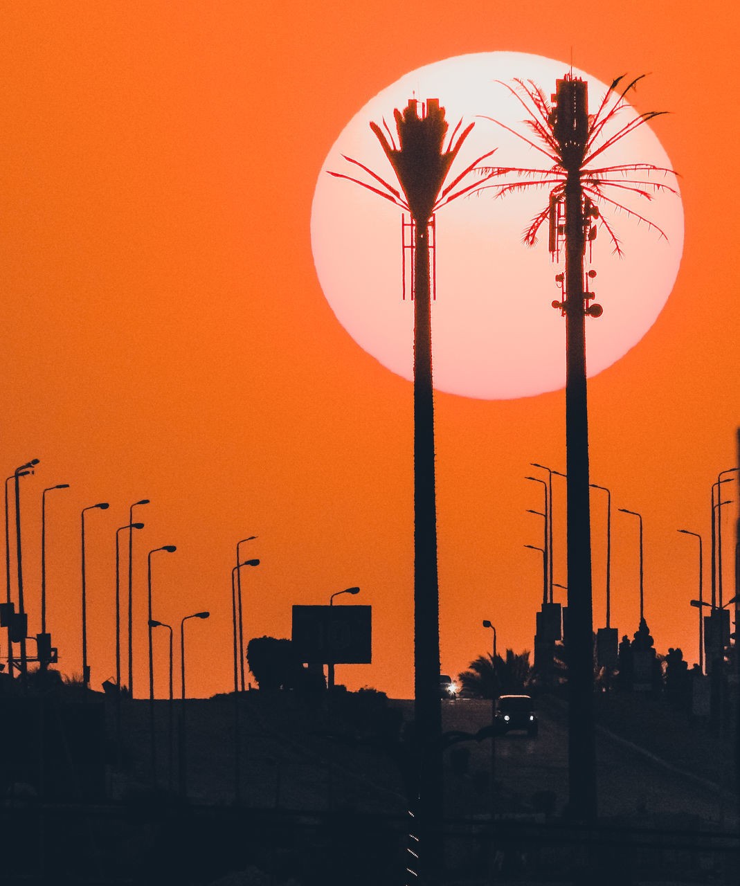 SILHOUETTE PALM TREE AGAINST ORANGE SKY