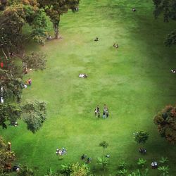 High angle view of people on field
