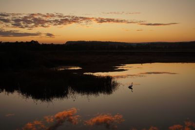 Silhouette swan swimming in lake against sky during sunset