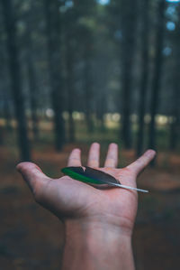 Close-up of woman hand against blurred background