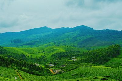 Scenic view of landscape