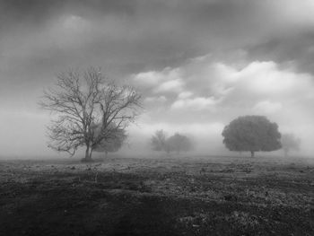 Scenic view of field against cloudy sky