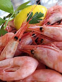 Close-up of seafood for sale