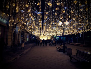 Illuminated trees at night