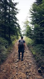 Rear view of man walking on footpath