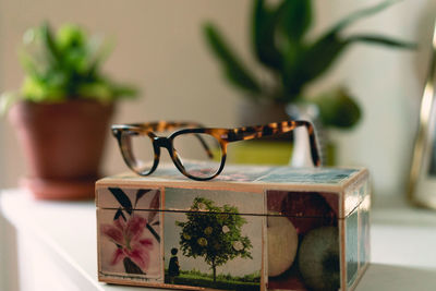 Close-up of potted plant on table