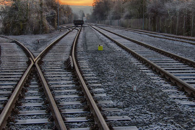 Railway tracks by trees