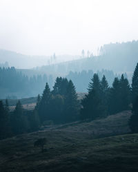 Trees on landscape against sky at foggy weather