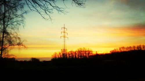 Silhouette of trees at sunset