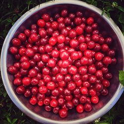 Close-up of red chili peppers