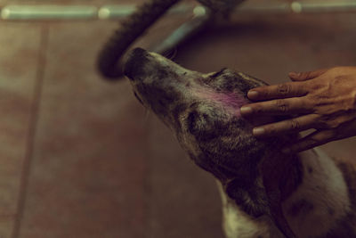 Cropped image of person washing hands