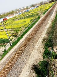 Scenic view of rural landscape