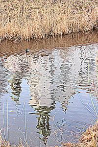 Full frame shot of water