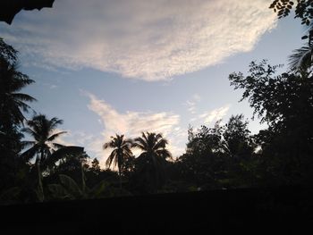 Silhouette palm trees on field against sky at sunset