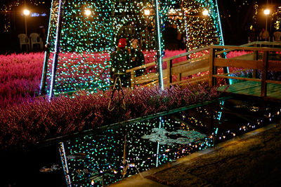 Illuminated ferris wheel at night