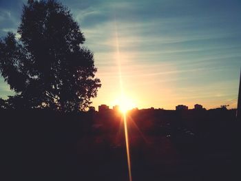 Silhouette of trees at sunset