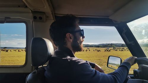 Man driving while sitting in car with animals grazing on grass