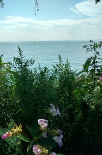 Scenic view of sea against sky