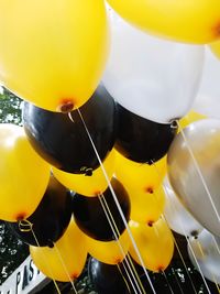 Close-up of yellow balloons