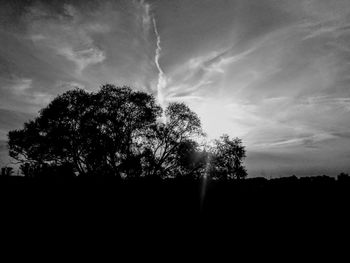 Low angle view of silhouette trees against sky