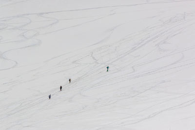 People skiing on snow covered land