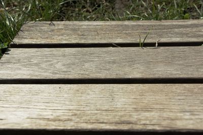 Surface level of wooden boardwalk in park