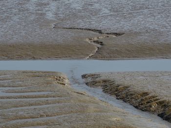 Reflection of trees in water