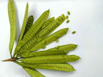 High angle view of green leaves on white background