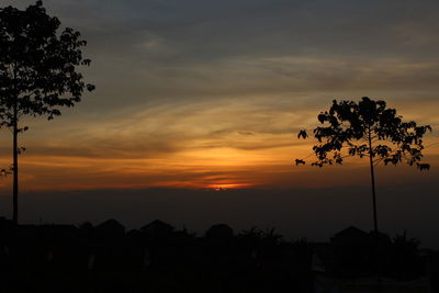 Low angle view of silhouette trees against sky during sunset