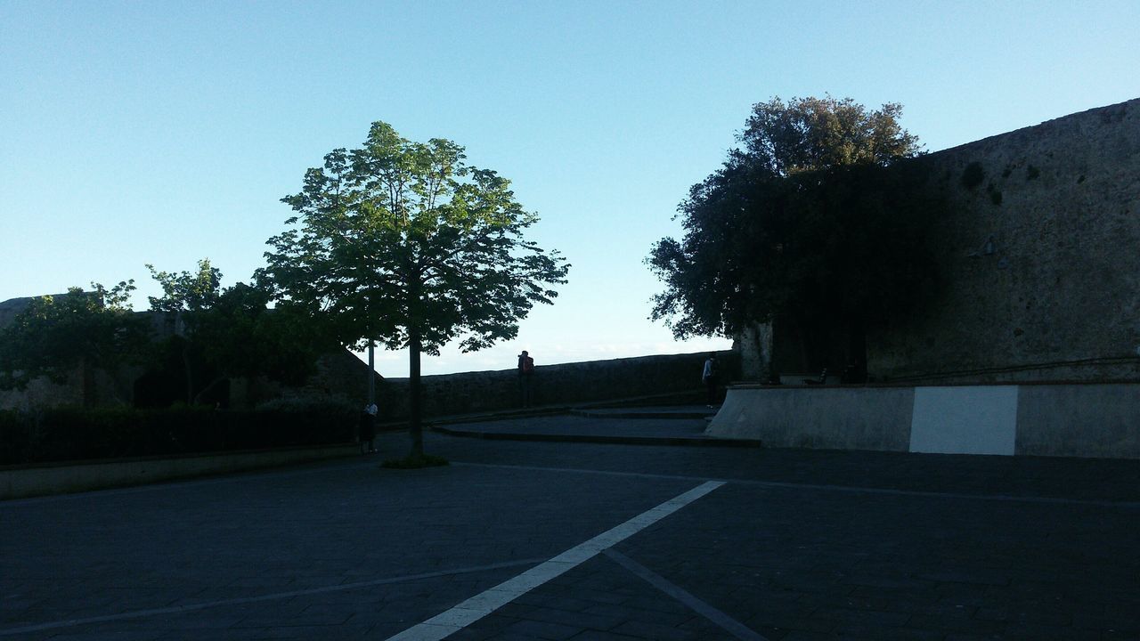 ROAD BY TREES AGAINST SKY