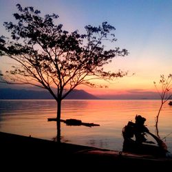 Silhouette tree by sea against sky during sunset