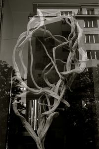 Close-up of illuminated tree at night