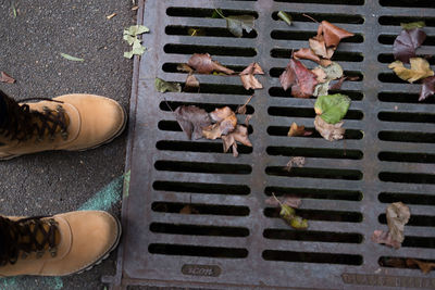 Low section of person standing by manhole during autumn