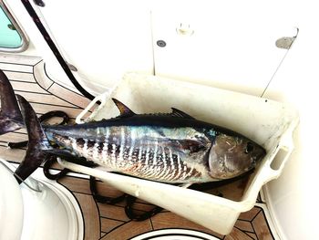 View of lamp in room