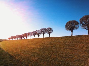 Scenic view of field against blue sky