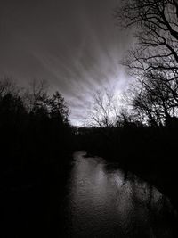 Silhouette trees in forest against sky