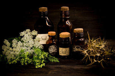 Plants in glass container on table