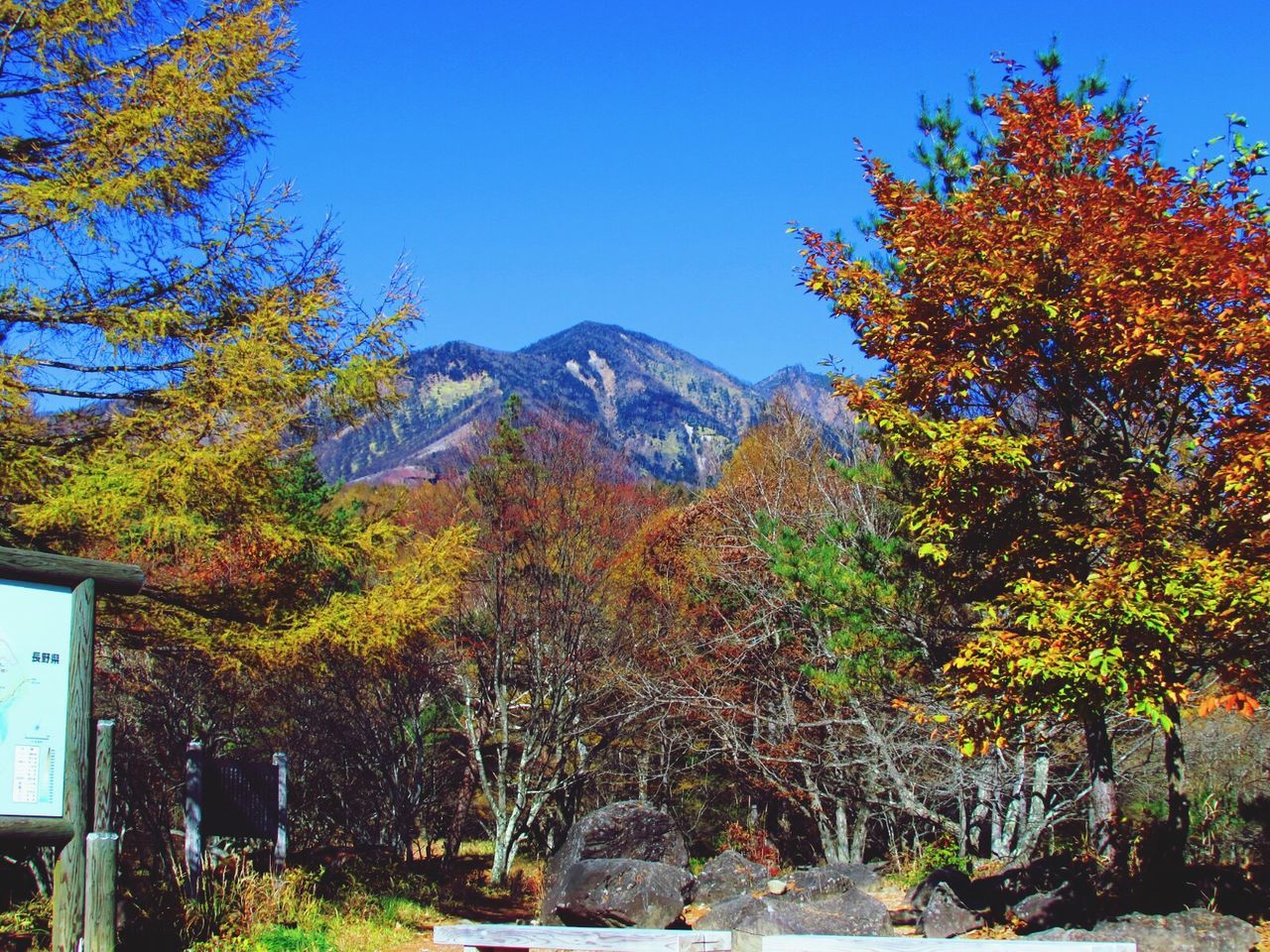 天女山