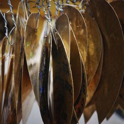 Close-up of bread in plate