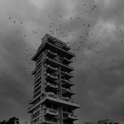 Low angle view of birds flying over buildings against sky